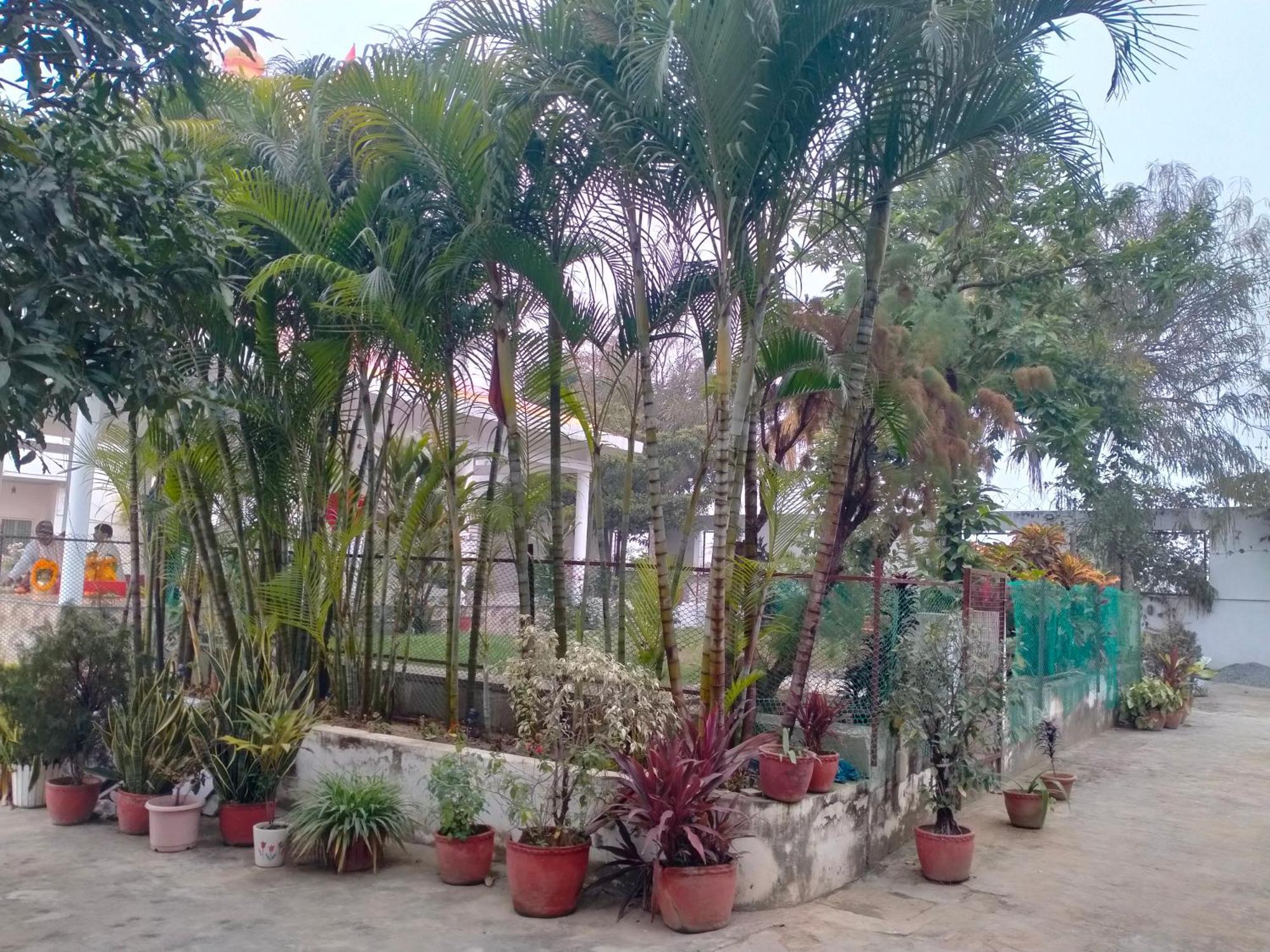 Vedic Villa Varanasi Eksteriør bilde