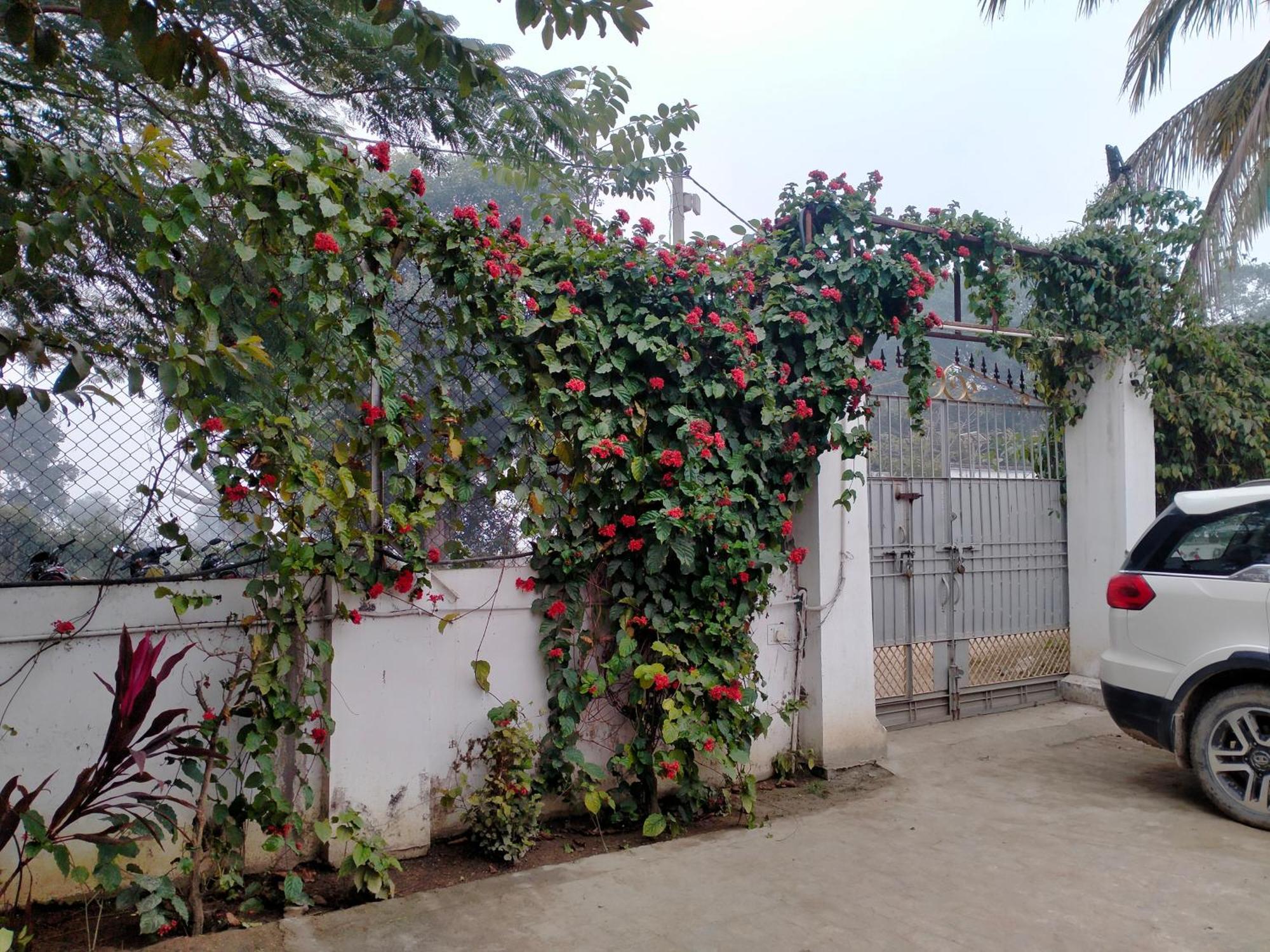 Vedic Villa Varanasi Eksteriør bilde